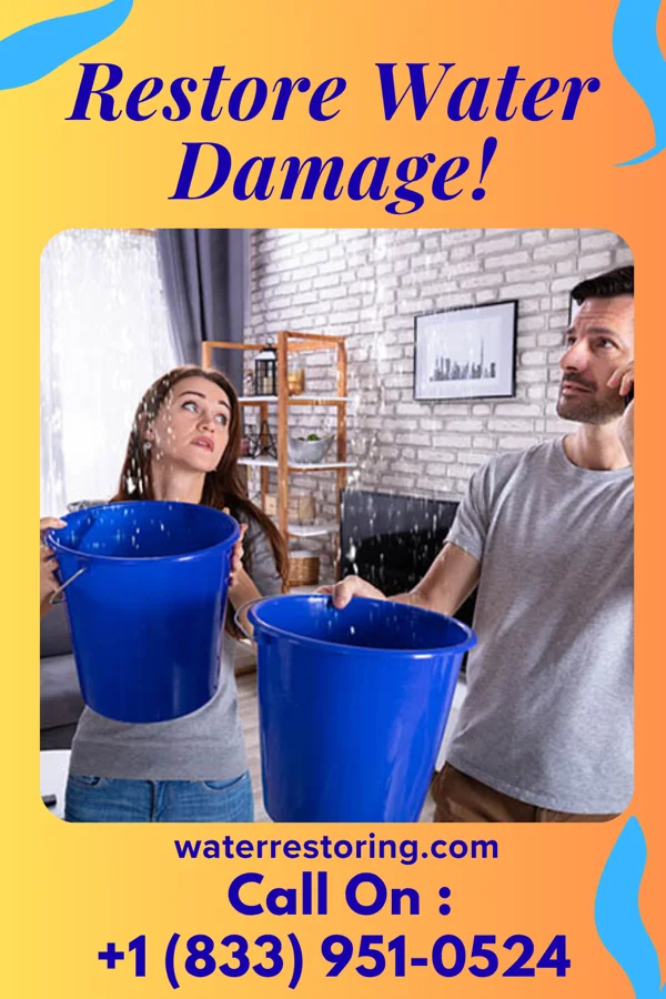 water restoration Lightning Water Removal Partners White Oak